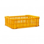 계육상자2호 / (노랑)