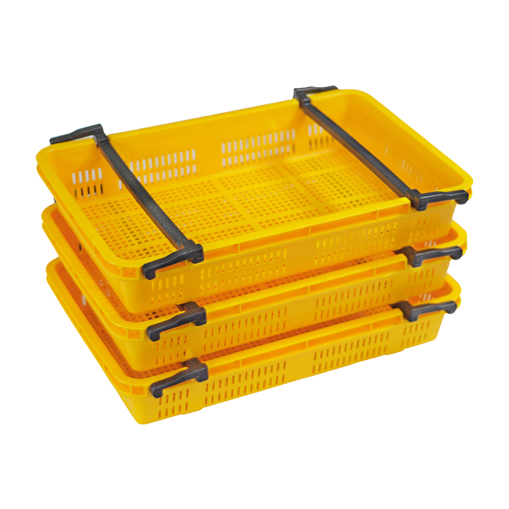 블루베리상자(소) (어상자4호)