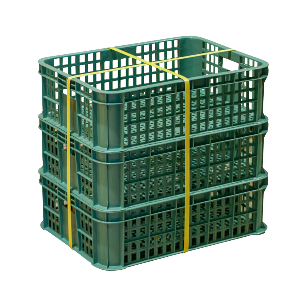 계육상자3호 / 재생