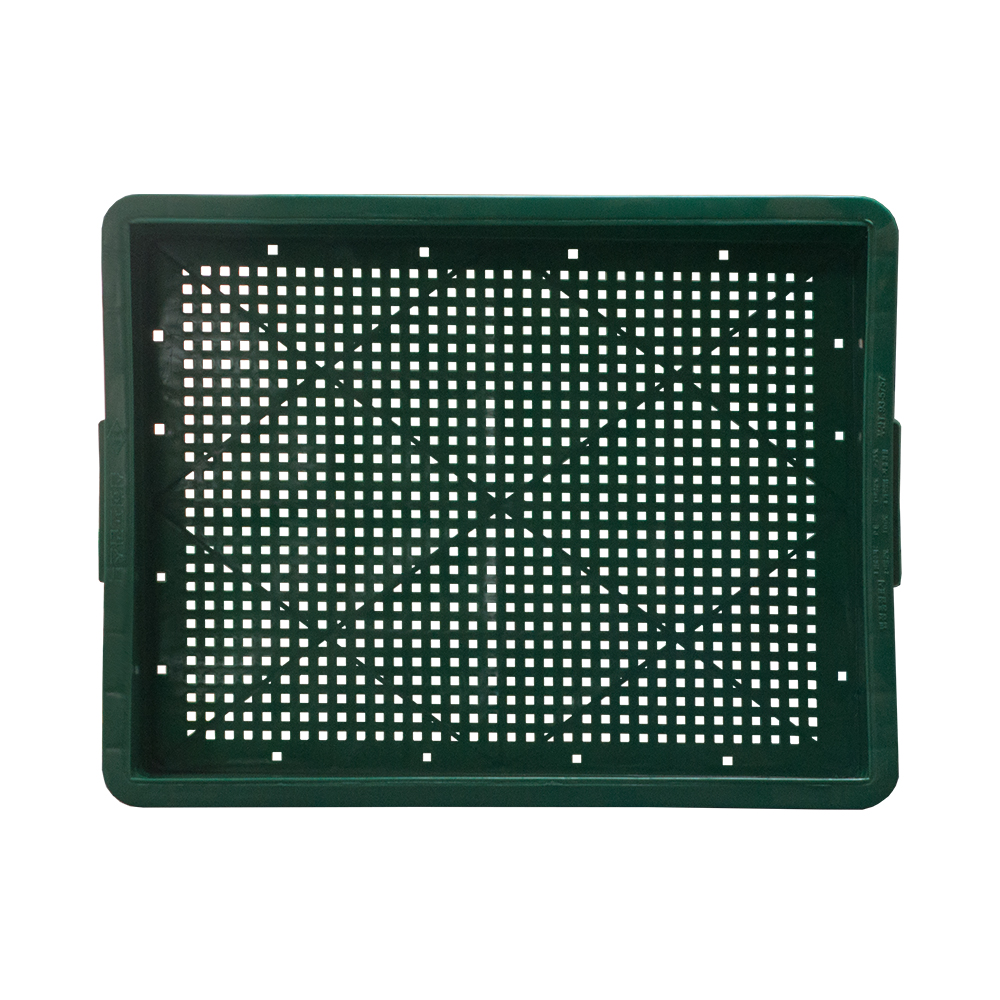 두부상자 / 재생