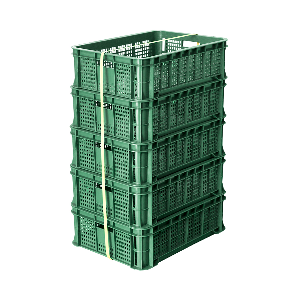 계육상자4호 / 재생