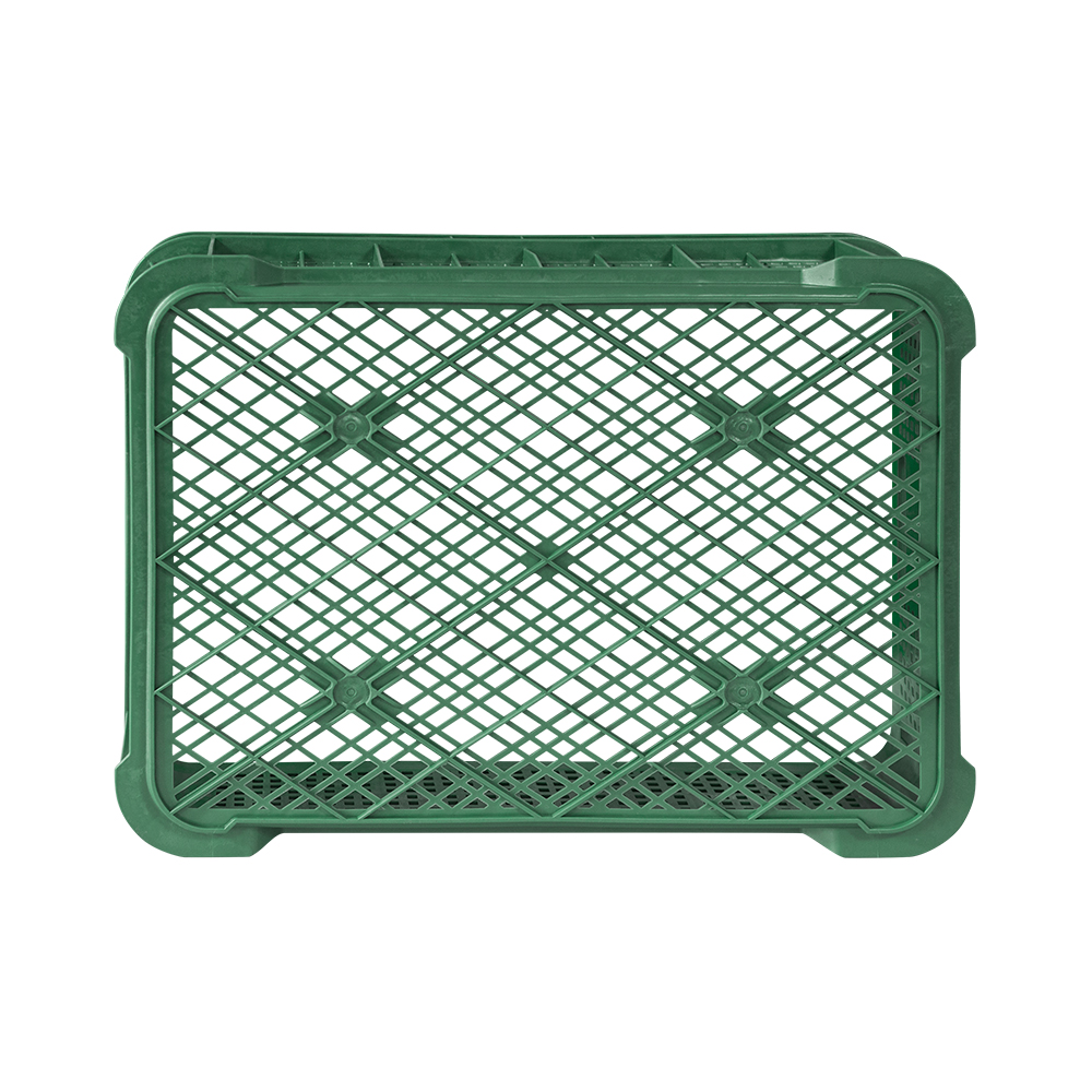 계육상자4호 / 재생