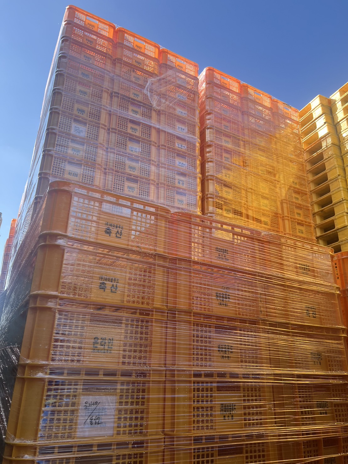 [중고]계육상자(노랑)