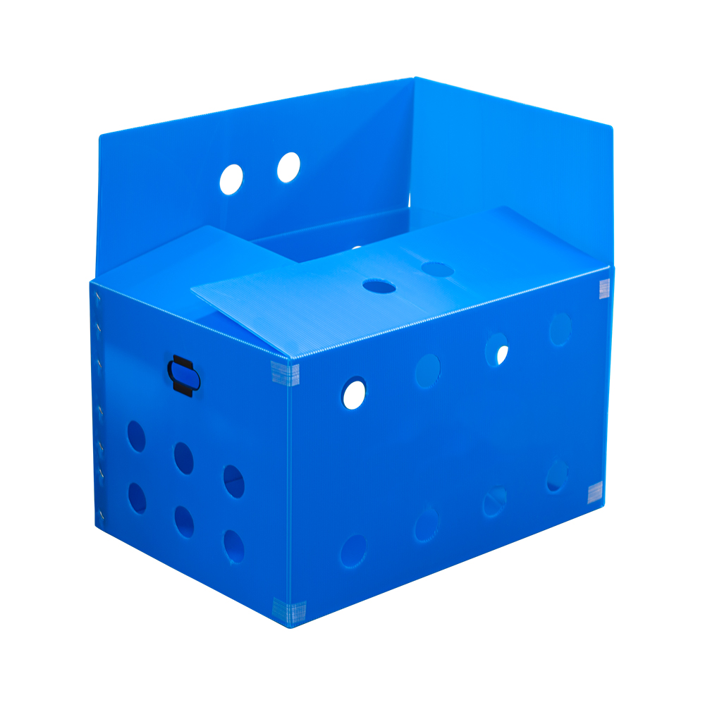 단프라 채소과일박스(AB형)