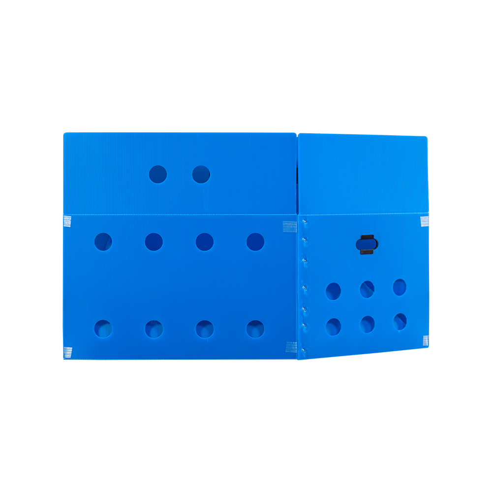 단프라 채소과일박스(AB형)